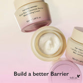 haruharu wonder Black Rice 5 Ceramide Barrier Moisturizing Cream